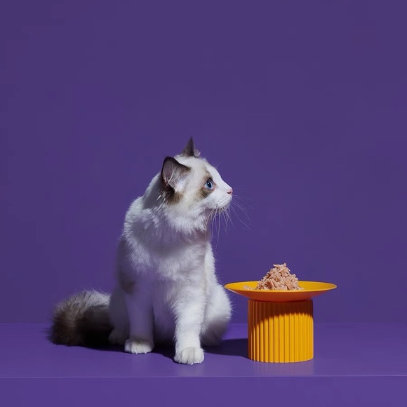 Purrre elevated pet bowl protecting cervical spine & prevent spilling food - Picture 1 of 6